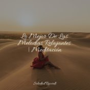 Lo Mejor De Las Melodías Relajantes | Meditación
