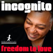 Freedom To Love (Remixes)
