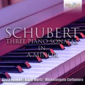 Schubert: The Three Piano Sonatas in A Minor