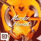 Murder Hornet