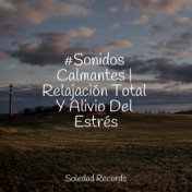 #Sonidos Calmantes | Relajación Total Y Alivio Del Estrés