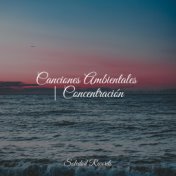 Canciones Ambientales | Concentración