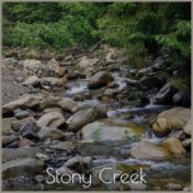 Stony Creek