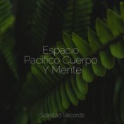 Espacio Pacífico Cuerpo Y Mente