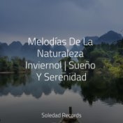 Melodías De La Naturaleza Inviernol | Sueño Y Serenidad