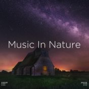 !!!" Music In Nature "!!!
