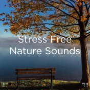 !!!" Stress Free Nature Sounds "!!!