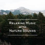Relaxing Music with Nature Sounds: 15 Stress Relief Songs, Calm Background Music, Tranquil Sleep, Morning Meditation