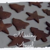 Missing Angel