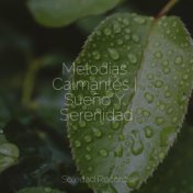 Melodías Calmantes | Sueño Y Serenidad