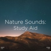 !!!"  Nature Sounds: Study Aid "!!!