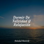 Dormir De Felicidad Y Relajación