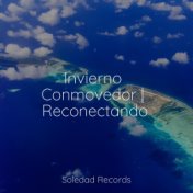 Invierno Conmovedor | Reconectando