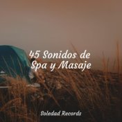 45 Sonidos de Spa y Masaje