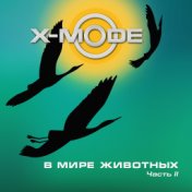 X-Mode