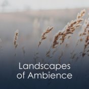 Landscapes of Ambience