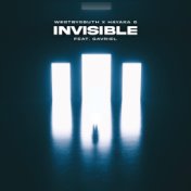 Invisible