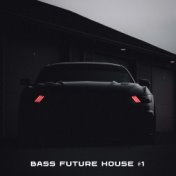 BASS FUTURE HOUSE #1