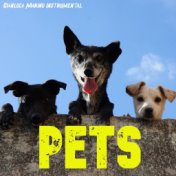 Pets (Instrumental)