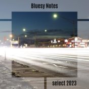 Bluesy Notes Select 2023