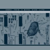 Byte Size Life (Shimon Remix) / Byte Size Life (Mr Scruff Remix)