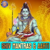Namo Shiv Mantras & Aarti