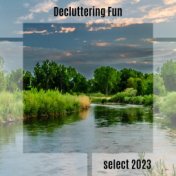 Decluttering Fun Select 2023