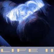 LIFE II