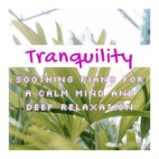 Tranquility: Soothing Piano for a Calm Mind and Deep Relaxation