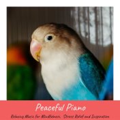 Peaceful Piano: Relaxing Music for Mindfulness,  Stress Relief and Inspiration