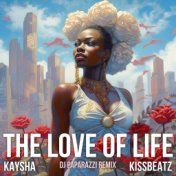 The love of life (DJ Paparazzi Remix)