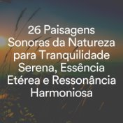 26 Paisagens Sonoras da Natureza para Tranquilidade Serena, Essência Etérea e Ressonância Harmoniosa