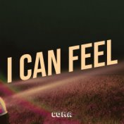 I Can Feel