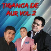 Tiganca de aur, Vol. 2