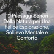 19 Paesaggi Sonori Della Natura per Una Felice Esplorazione, Sollievo Mentale e Conforto