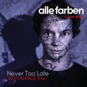 Never Too Late (SETTHEPACE Mix)