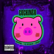 Cochineo