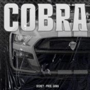 Cobra