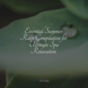 Essential Summer Rain Compilation for Ultimate Spa Relaxation