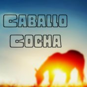 Caballo Cocha