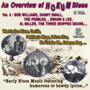 An Overview of Hokum Blues 6 Vol. - Vol. 5 : Bob Williams - Dany Small - The Pebbles - Swan & Lee - Al Miller - Three Stripped G...