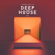 Thanks God it's Deep-House Day, Vol. 2