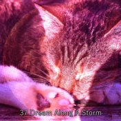 37 Dream Along A Storm