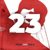 23