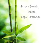 Steven Solveig Meets Ingo Herrmann
