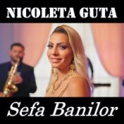 Sefa Banilor