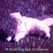 44 Soothing Spa Ambience