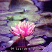 66 Listen & Study