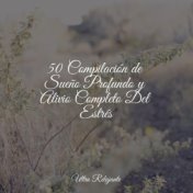 50 Compilación de Sueño Profundo y Alivio Completo Del Estrés