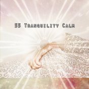 55 Tranquility Calm